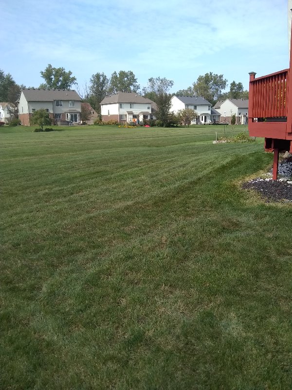 Gardner Lawn Care Lawn Care Services in Willis, MI