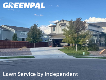 Lawn Cut nearby Windsor, CO, 