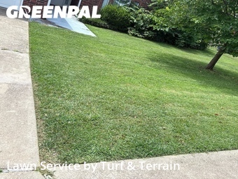 Yard Cutting nearby Springdale, AR, 