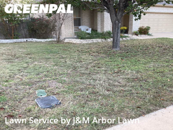 Lawn Cut nearby Leander, TX, 