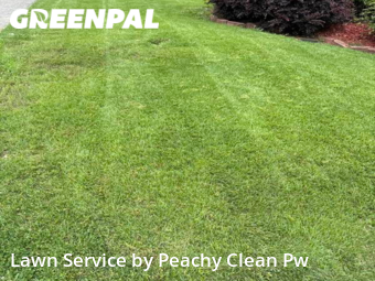 Lawn Mow nearby Carrollton, GA, 