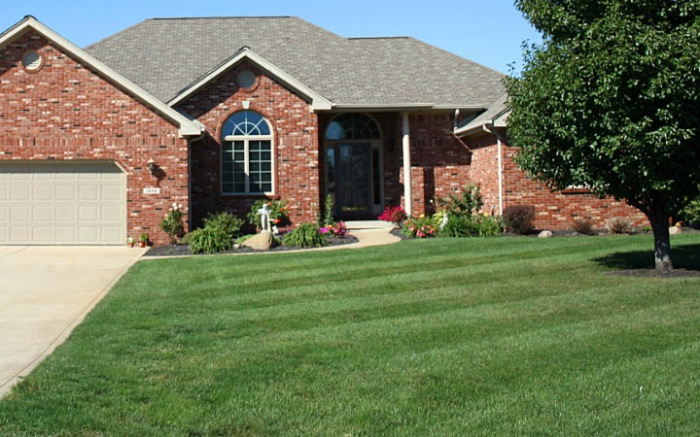 Work Image 1