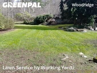 Residential Landscaping In Bellevue,98005,Landscaping Renovation by Working Yardz, work completed in Apr , 2026