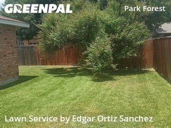 Lawn Care Service nearby Plano, TX, 