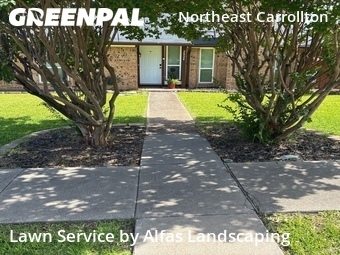 Landscaper In Carrollton,75007,Landscaping by Alfas Landscaping, work completed in Jul , 2026