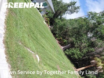 Grass Cutting nearby Port Charlotte, FL, 