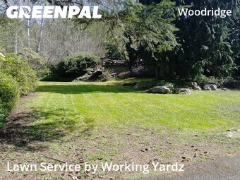 Yard Mowing nearby Bellevue, WA, 