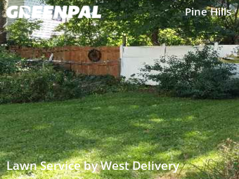 Grass Cutting nearby Albany, NY, 