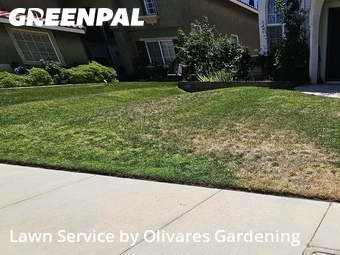 Grass Cut nearby Lancaster, CA, 