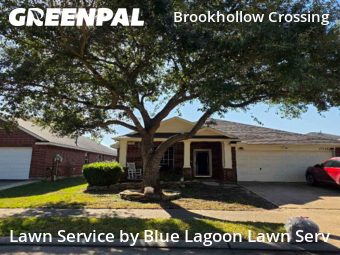 Lawn Care Servicein Houston,77084,Lawn Mowing Service by Blue Lagoon Lawn Serv, work completed in Dec , 2025