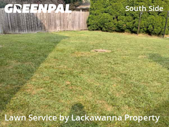 Grass Cut nearby Scranton, PA, 