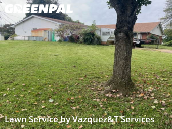 Weed Trimming in Bowie, 20715, Landscaping Maintenance by Vazquez&T Services, work completed in Nov , 2025