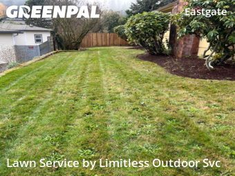 Grass Cut nearby Bellevue, WA, 