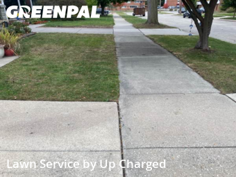 Lawn Cut nearby Dearborn, MI, 