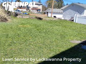 Grass Cut nearby Scranton, PA, 