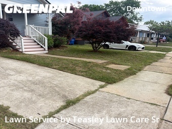 Yard Cutting nearby Raleigh, NC, 