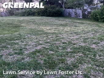 Yard Mowing nearby Roanoke, VA, 