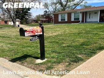 Grass Cutting nearby St. Louis, MO, 