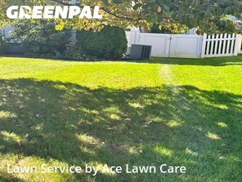 Lawn Care Service nearby Fairfield, CT, 