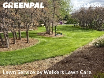 Grass Cut nearby Colorado Springs, CO, 