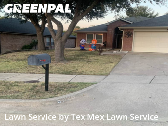 Lawn Care Servicein Dallas,75249,Yard Mowing by Tex Mex Lawn Service, work completed in Nov , 2025