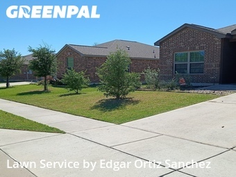 Lawn Mowing nearby Princeton, TX, 
