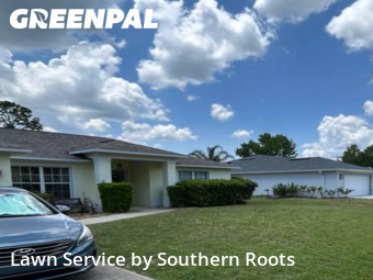 Lawn Cutting nearby Palm Coast, FL, 