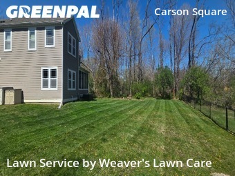 Grass Cut nearby Indianapolis, IN, 