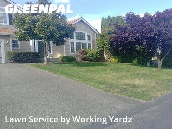 Lawn Maintenance nearby University Place, WA, 