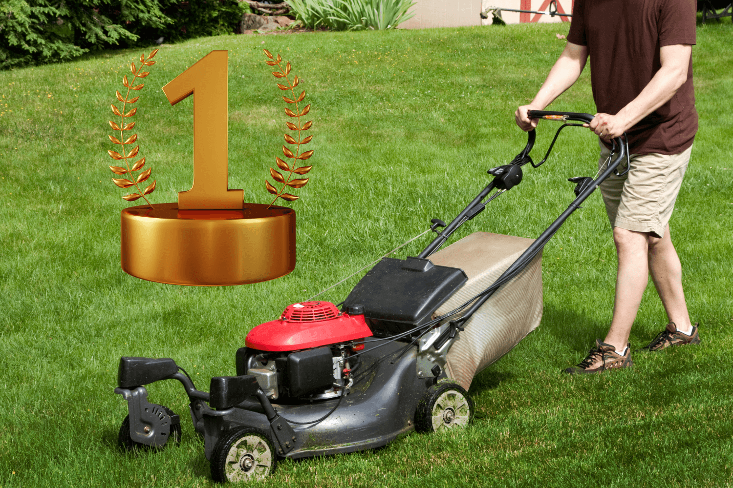 Best push mower for rough online terrain