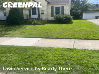 Yard Mowing nearby South Euclid, OH, 