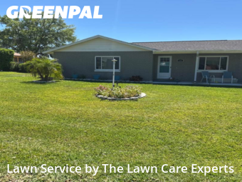 Grass Cut nearby Lakeland, FL, 