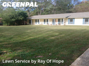 Lawn Cut nearby Northport, AL, 