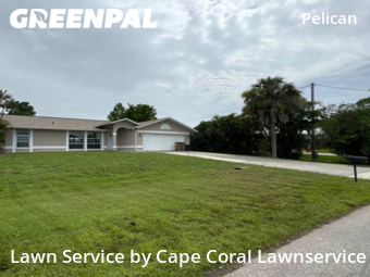 Yard Mowing nearby Cape Coral, FL, 