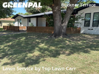 Grass Cut nearby Dallas, TX, 