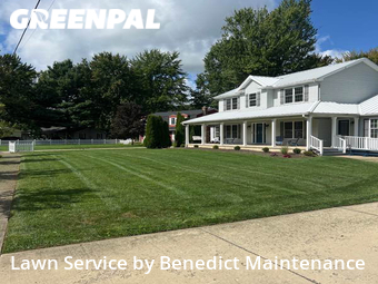 Grass Cut nearby North Ridgeville, OH, 