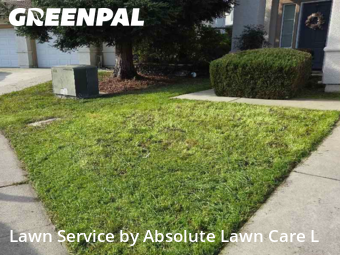 Landscaping Services In Elk Grove,95624,Landscaping Cleanup by Absolute Lawn Care L, work completed in Feb , 2026