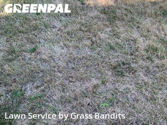 Lawn Mowing nearby Billings, MT, 