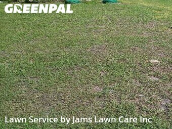 Lawn Mow nearby Spring Hill, FL, 