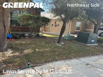 Lawn Mowing Servicein San Antonio,78239,Lawn Service by M.Q.L.C. Llc., work completed in Oct , 2025