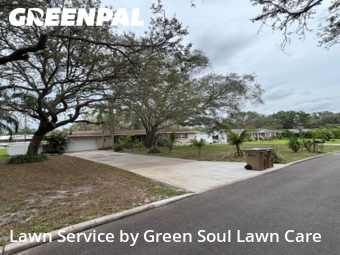 Lawn Cutting nearby Temple Terrace, FL, 