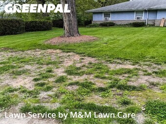 Grass Cut nearby Gary, IL, 