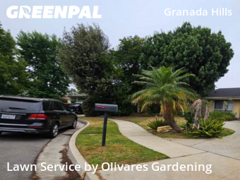 Work completed by grass-trimming-service-in-Los Angeles-CA