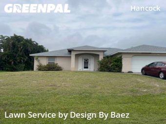 Grass Cut nearby Cape Coral, FL, 