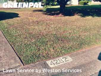 Yard Management in Bessemer, 35022, Lawn Care by Weston Services, work completed in Oct , 2025