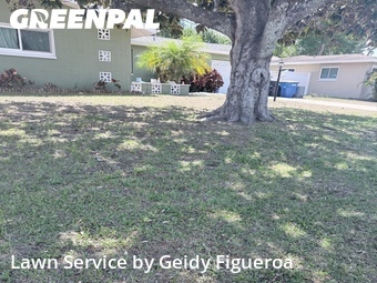 Lawn Service nearby Clearwater, FL, 