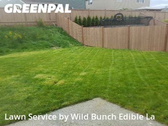 Lawn Cutting nearby Lacey, WA, 