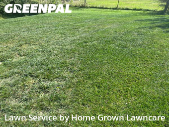 Grass Cut nearby Hamilton, OH, 
