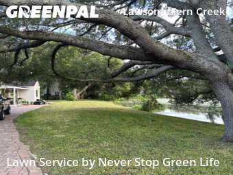 Lawn Mowing nearby Orlando, FL, 