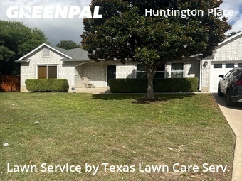 Yard Cutting nearby San Antonio, TX, 